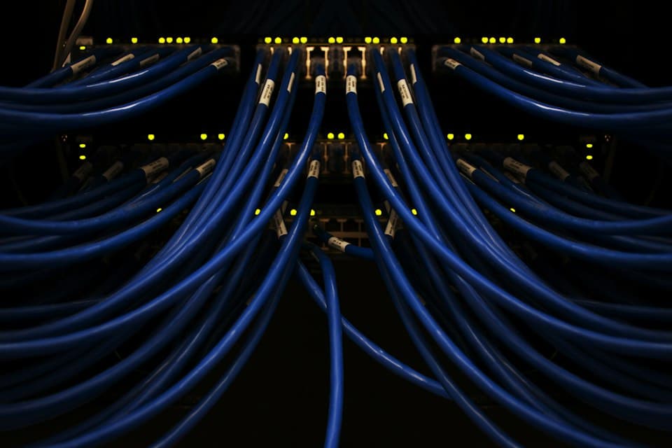 Viele blaue Netzwerkkabel an einem Server-Switch